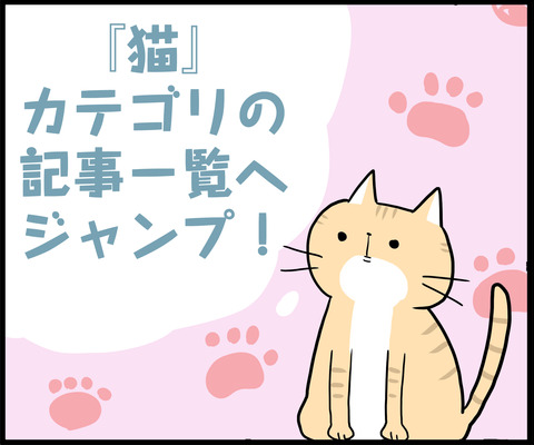 １コマ　猫カテゴリ