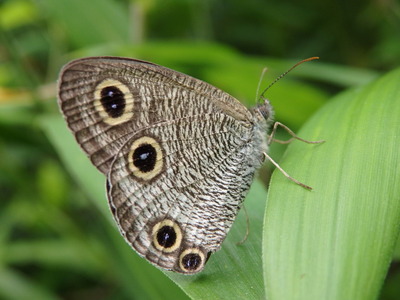 P6201004