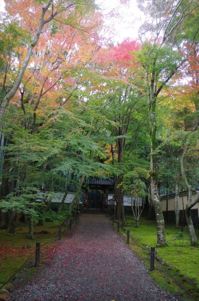 IMGP0831