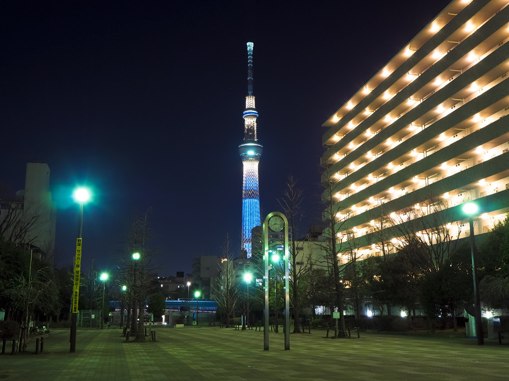 大横川親水公園 Nightscape 夜景 夕景記録帳