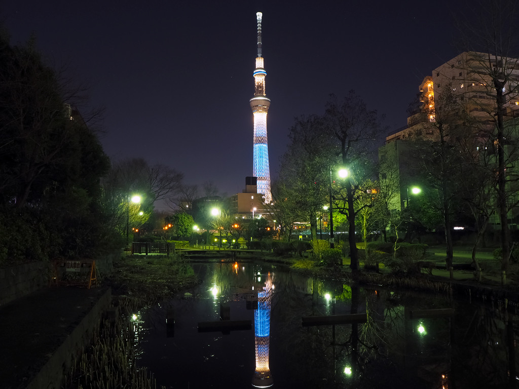 大横川親水公園 Nightscape 夜景 夕景記録帳 大横川親水公園 Nightscape 夜景 夕景記録帳