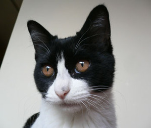 11.16��ꤷ���ߥߣ�