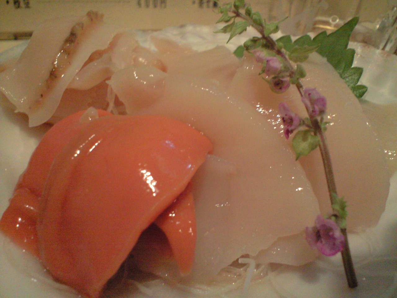 忘年会 居酒屋てとらぽっと 福島県いわき市からの便り