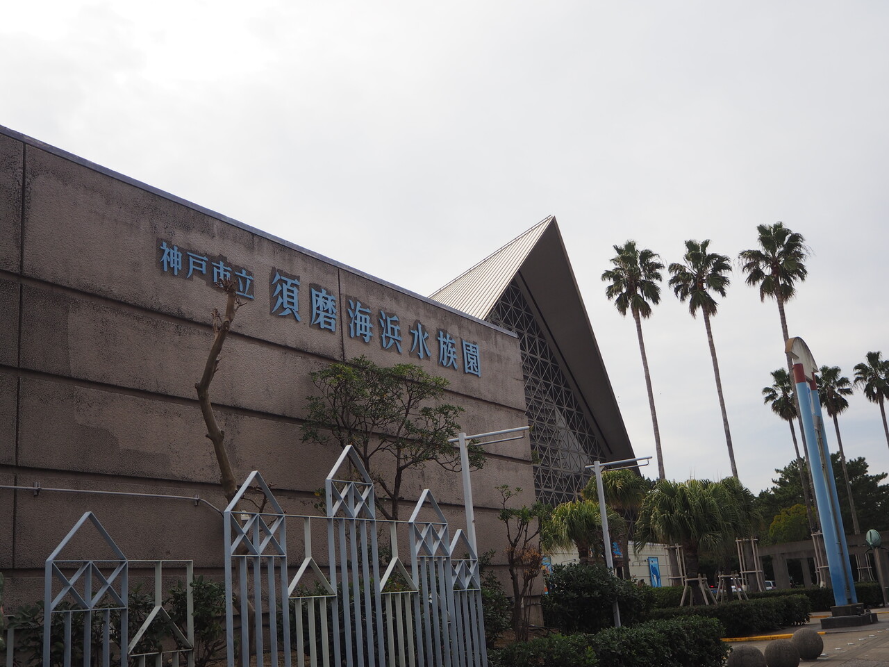今更ながらの神戸観光旅 須磨海浜水族園 さとぽん のきまぐれdiary 今更ながらの神戸観光旅 須磨海浜水族園 さとぽん のきまぐれdiary