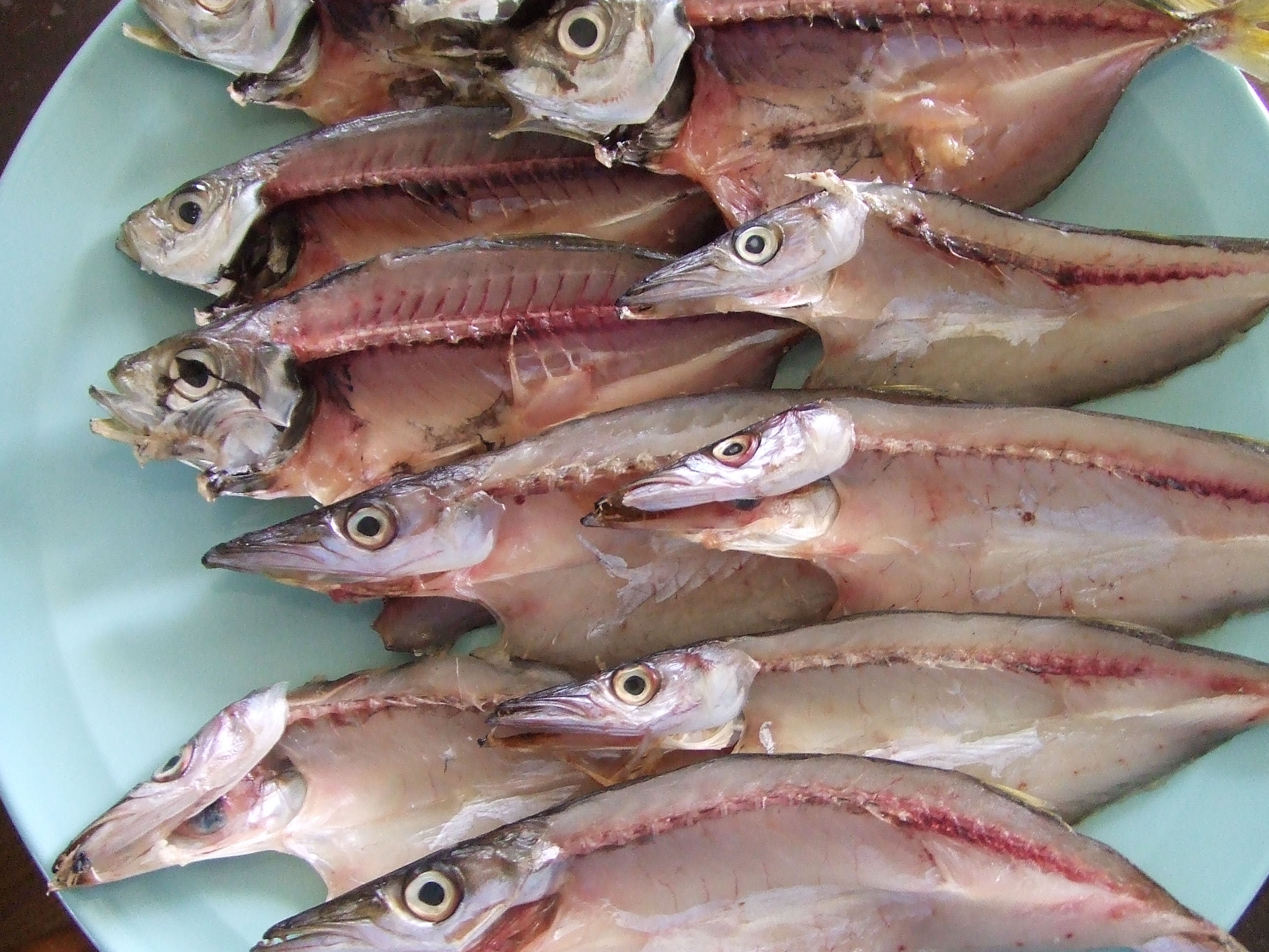 海の恵その２ わたしは英語で生きていく