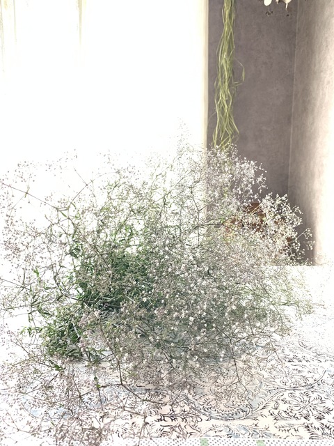 E0A77B03-C3AD-4954-9993-F2C0DC228927