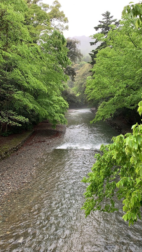 B5EC7582-7641-4EBD-9973-822267227EA0