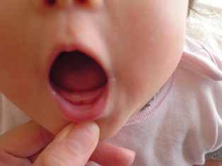 06年11月15日 花花日和