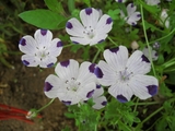 6c62c7c3.jpg