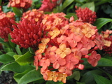c8f85b78.jpg