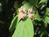 f54da39f.jpg
