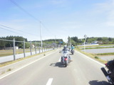 P4303845