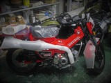 HONDA CT125ハンターカブ