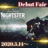 Night star (1)