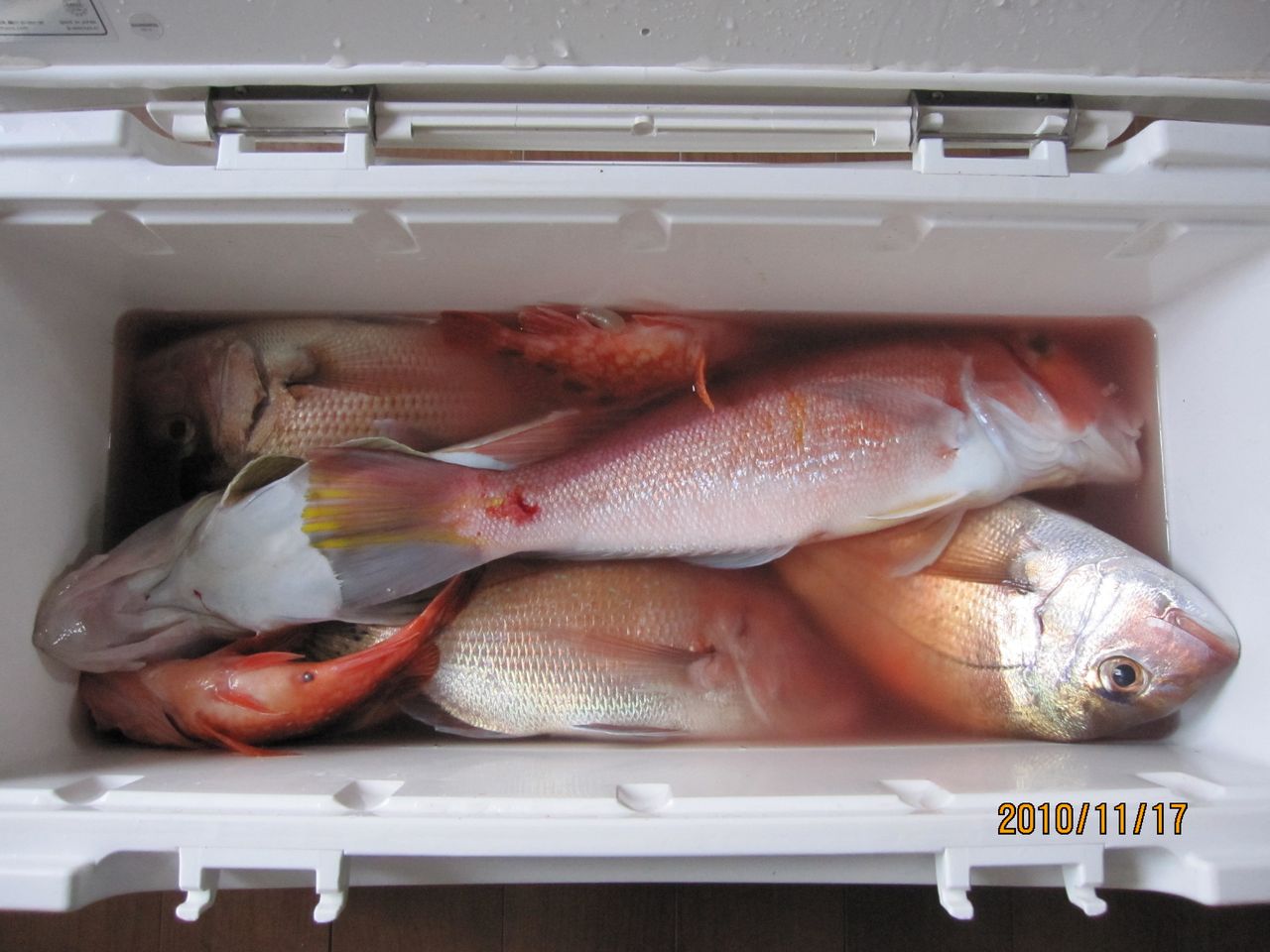 10年11月 一竿風月 沖釣り編