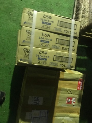 02e62700.jpg