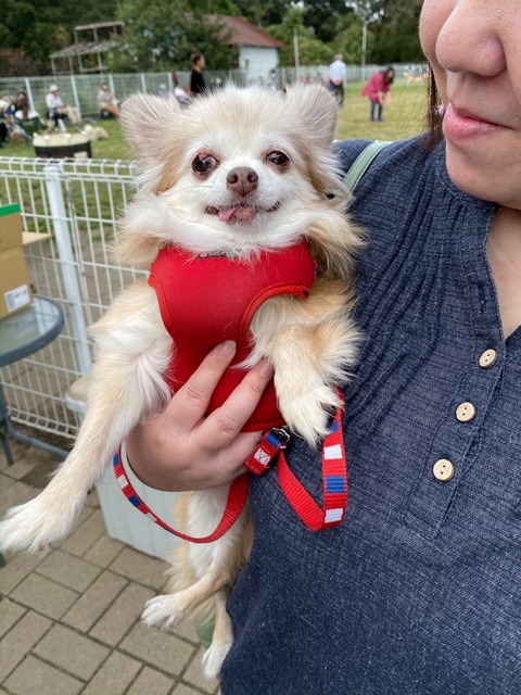 6E88EEF0-78E9-41A3-B116-FB9DA1AC1A10