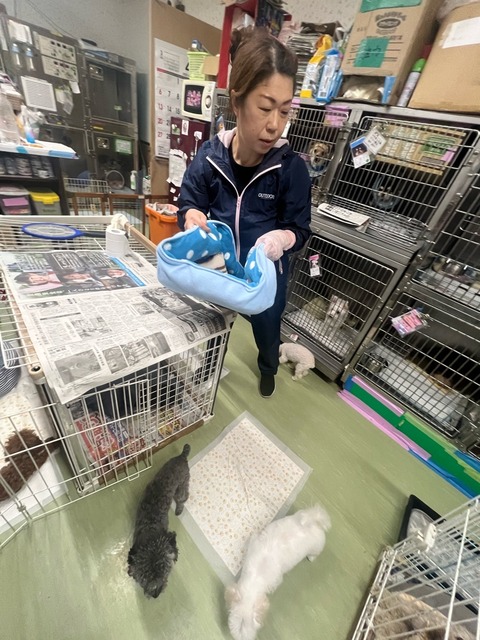 IMG_8811
