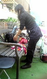 072c11f8.jpg