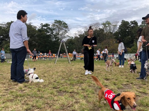 0777A791-6B86-4B89-A983-960D63B9A723