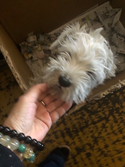 IMG_4041