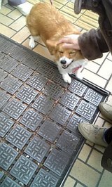 0c985355.jpg