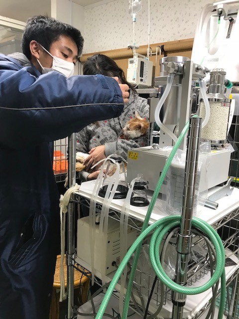 諭吉爺ちゃん 危篤 Npo法人ペット里親会