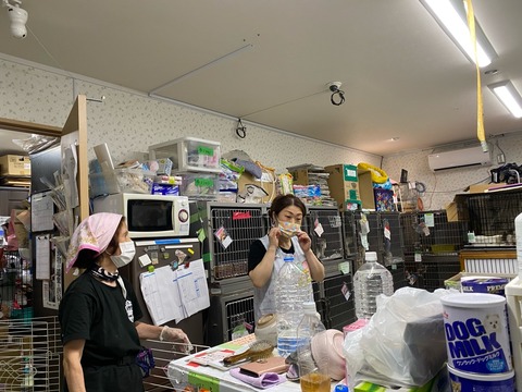 BF688E95-F360-41F0-9310-B98CB964AE19