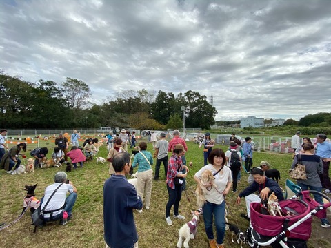 1E3FC71D-CCE6-432B-91D1-FFC4576C158C