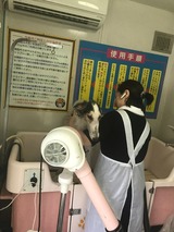 130225ec.jpg