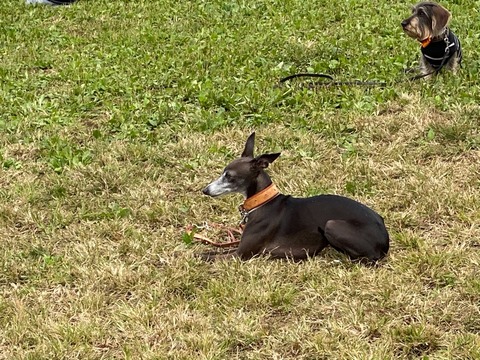 8344E755-AE75-4FB2-BFD0-BACF9EAEB661