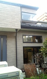1992f7a8.jpg