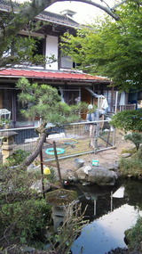 1e10344d.jpg