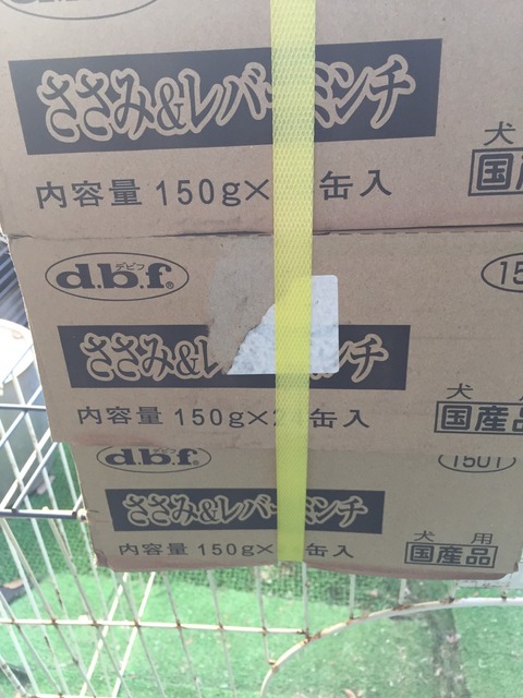 1f63b58a.jpg