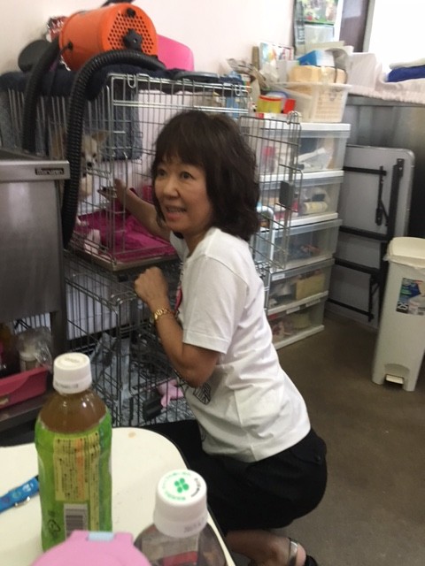 昨日は浅田美代子ちゃんと打ち合わせ Npo法人ペット里親会