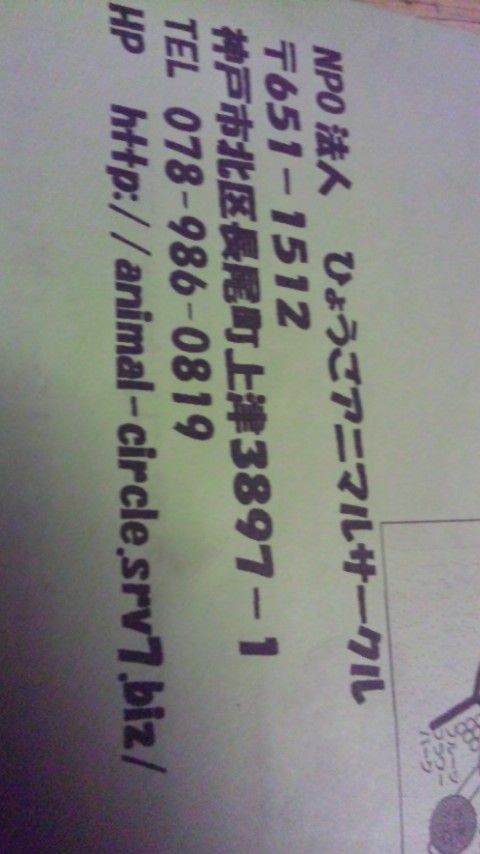 ひょうご アニマルサークル Npo法人ペット里親会 ひょうご アニマルサークル Npo法人ペット里親会