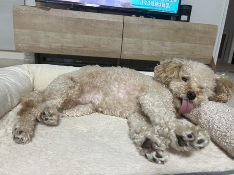 IMG_1516