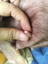 2ea0712a.jpg