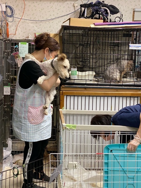 E9CB3F02-DC07-4473-8A9D-825DF170DA3F