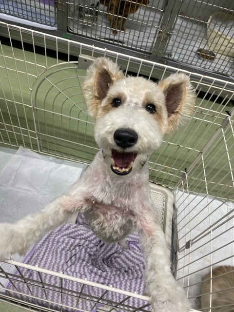 1288D441-75E2-47E5-87DD-84F306B3D05E