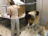 34b9a38d.jpg