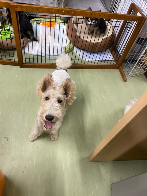 IMG_2745