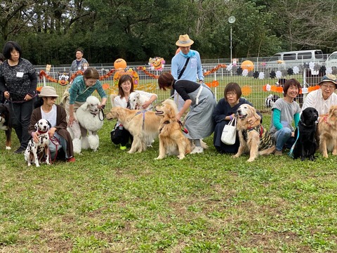 03E0E30A-A8DD-4B01-9880-DCCD4A6139AF