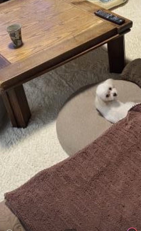 FullSizeRender