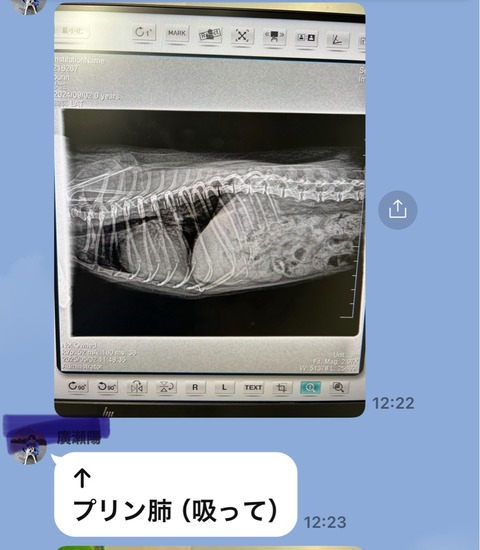 FullSizeRender