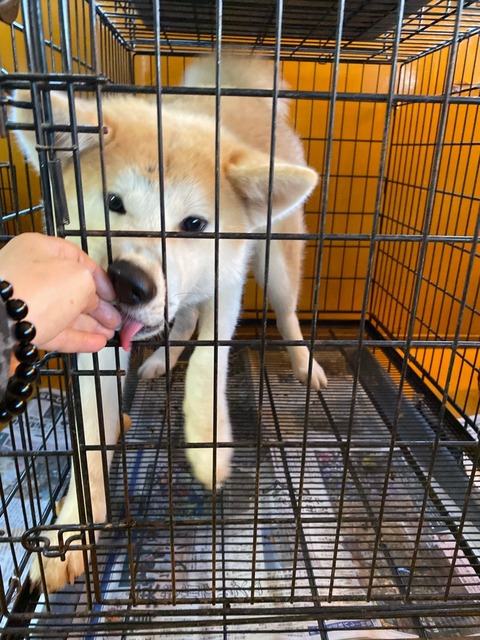 IMG_5995