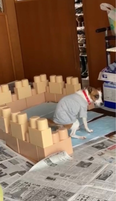 FullSizeRender