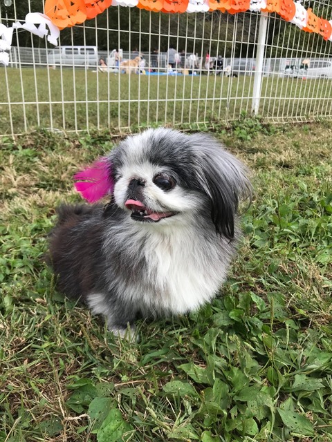 AC3C3C5C-CFCE-49F7-91BA-92575D988D50