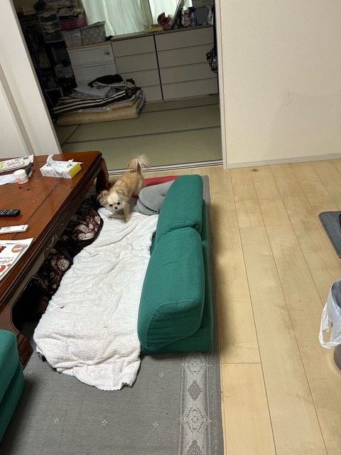 IMG_4084