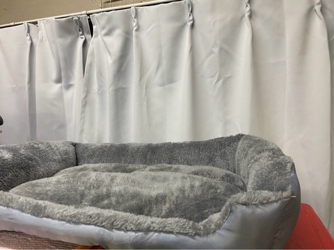 IMG_6421